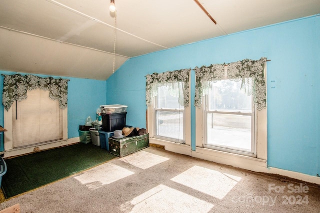 interior space featuring carpet and vaulted ceiling