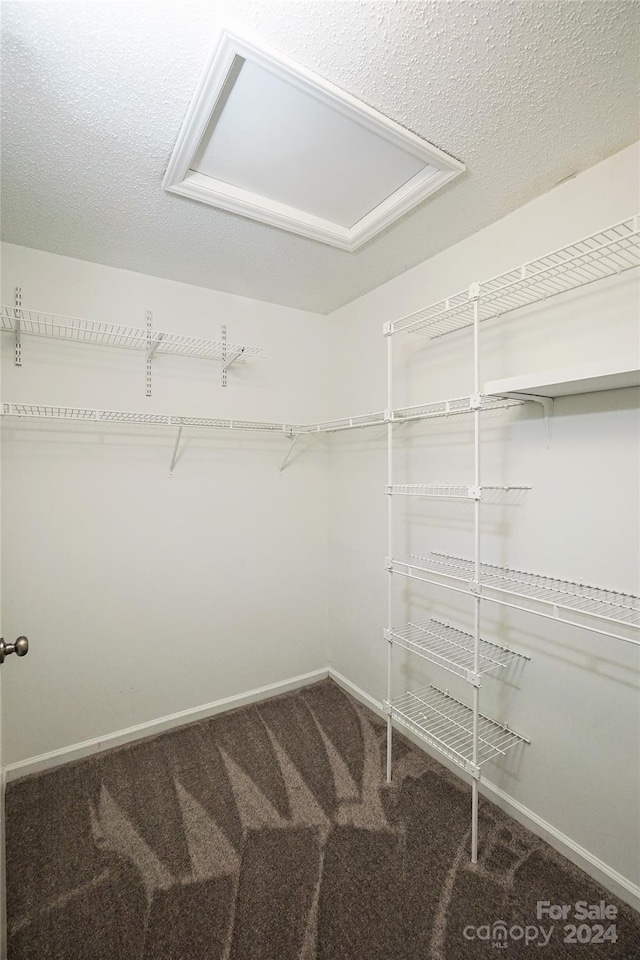 walk in closet featuring carpet