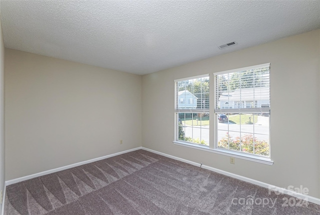 carpeted spare room featuring a textured ceiling and plenty of natural light