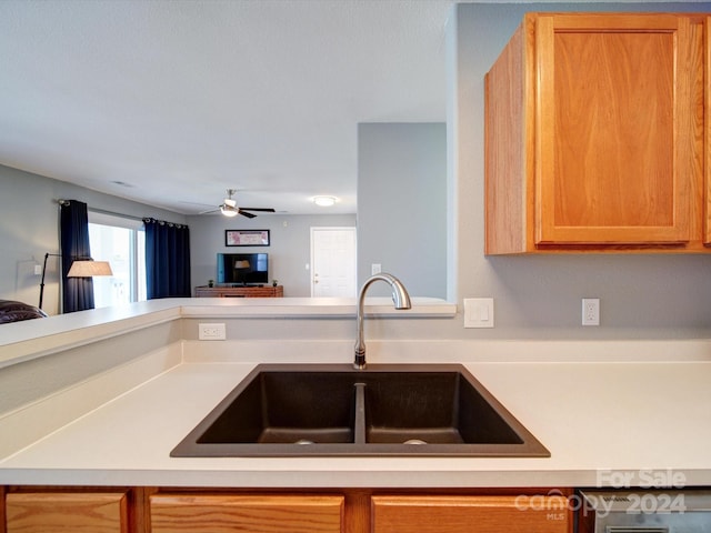 kitchen with sink and ceiling fan