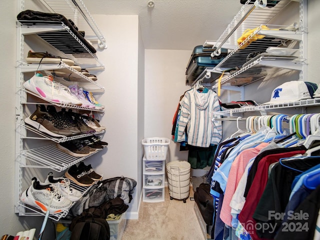 walk in closet with light colored carpet