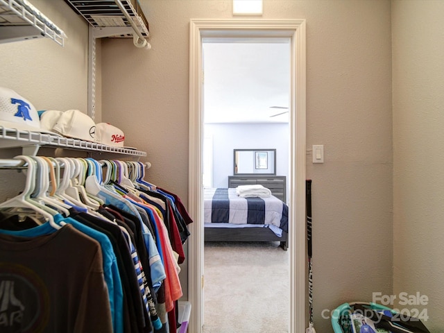 walk in closet featuring carpet flooring