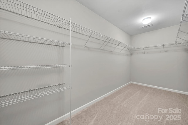 spacious closet with carpet floors