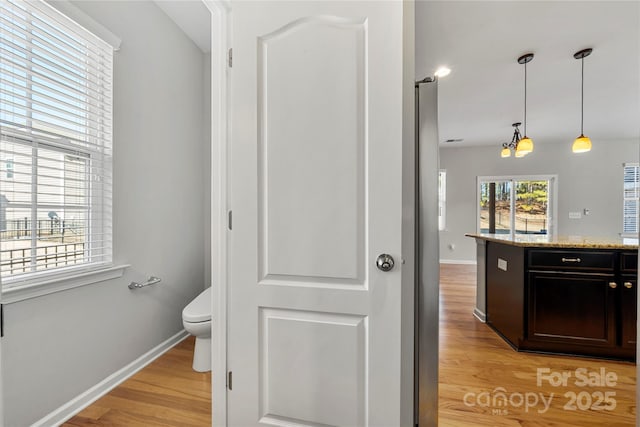 bathroom with hardwood / wood-style flooring and toilet