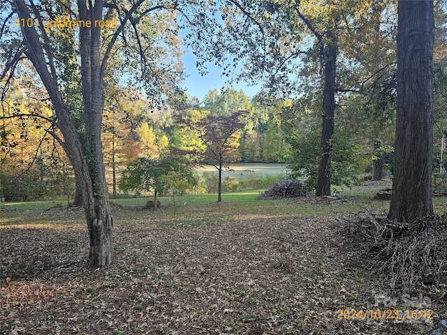 view of yard featuring a water view