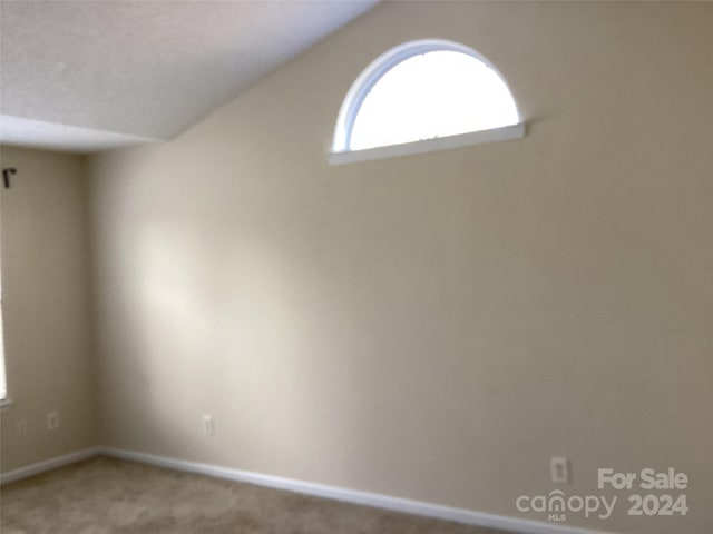 empty room with carpet and lofted ceiling