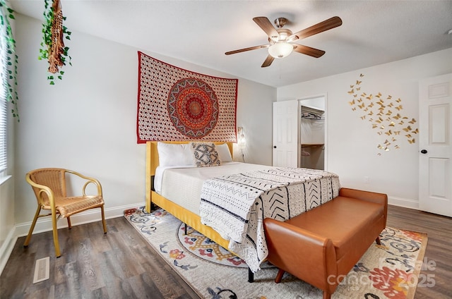 bedroom featuring ceiling fan, dark wood-type flooring, a closet, and a walk in closet