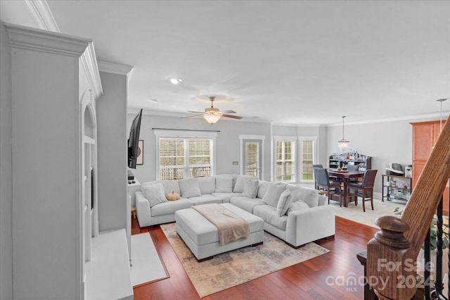 living room with dark hardwood / wood-style floors, ceiling fan, and ornamental molding