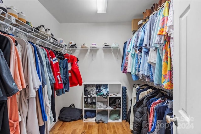 spacious closet with hardwood / wood-style flooring