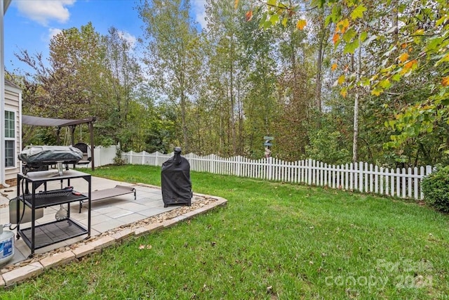 view of yard featuring a patio