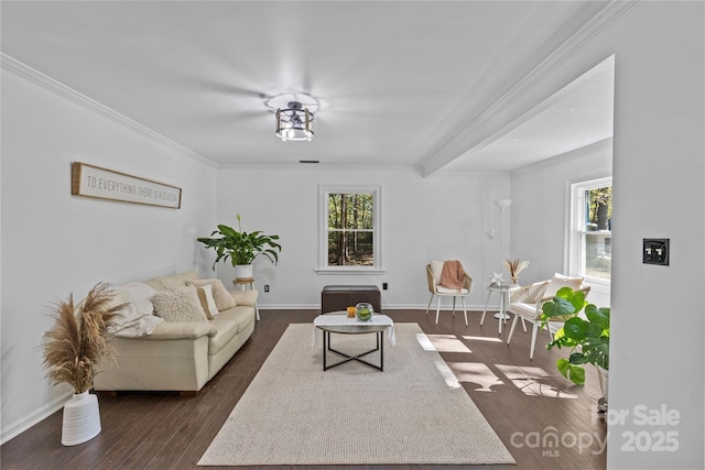 living room with dark hardwood / wood-style floors and ornamental molding