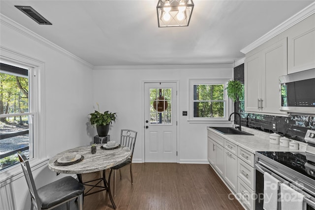 kitchen with sink, white cabinetry, stainless steel appliances, and dark wood-type flooring