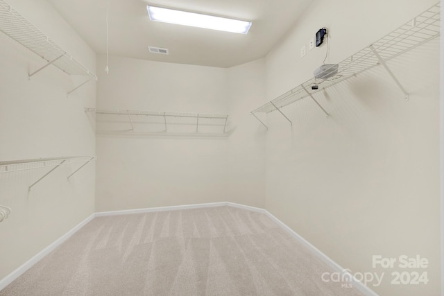 spacious closet featuring carpet flooring