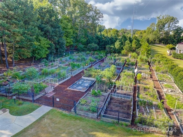 view of home's community featuring a lawn