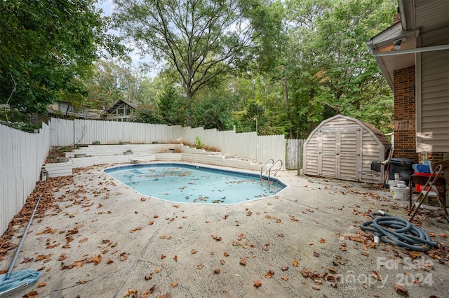 view of pool with a patio and a storage unit