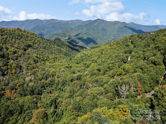 LOTG-43 Odalu Trl Unit G43, Maggie Valley, NC 28751
