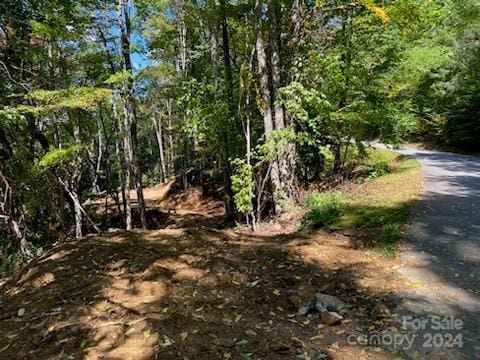 LOTG-43 Odalu Trl Unit G43, Maggie Valley, NC 28751