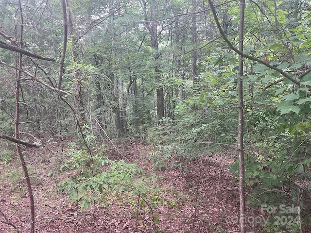 TBD Blue Ridge Blvd, Morganton NC, 28655 land for sale