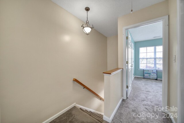 stairs with a textured ceiling and carpet floors