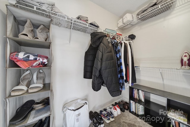 walk in closet with carpet flooring