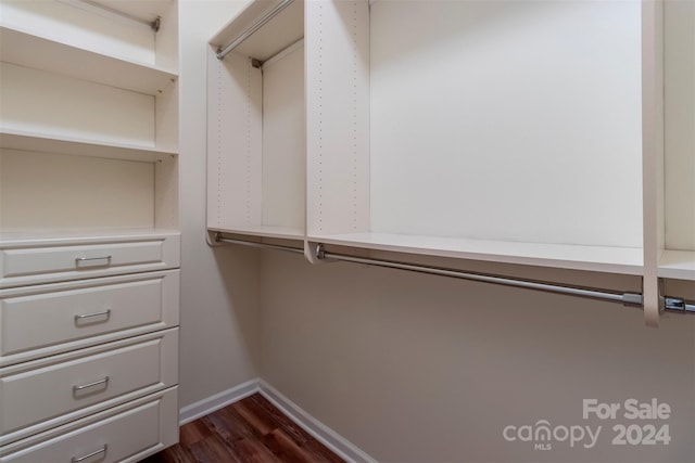 walk in closet with dark hardwood / wood-style flooring