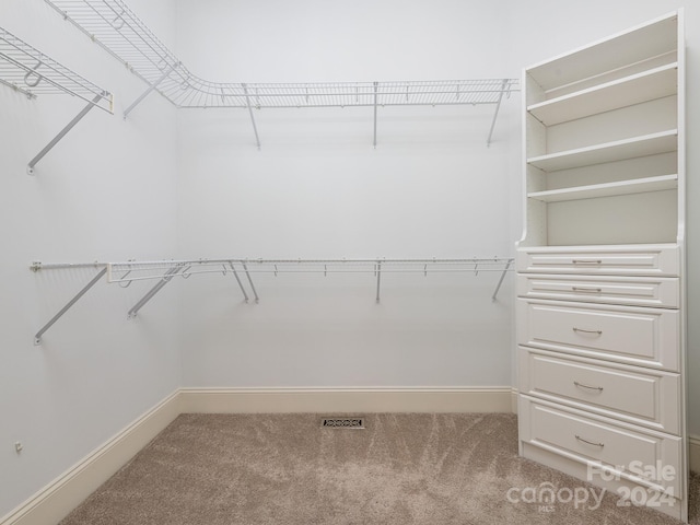 walk in closet featuring carpet floors