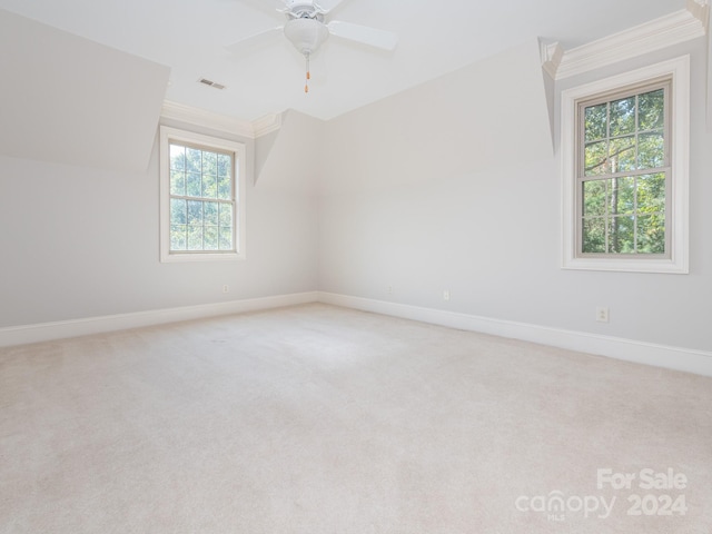 spare room featuring a healthy amount of sunlight and light colored carpet