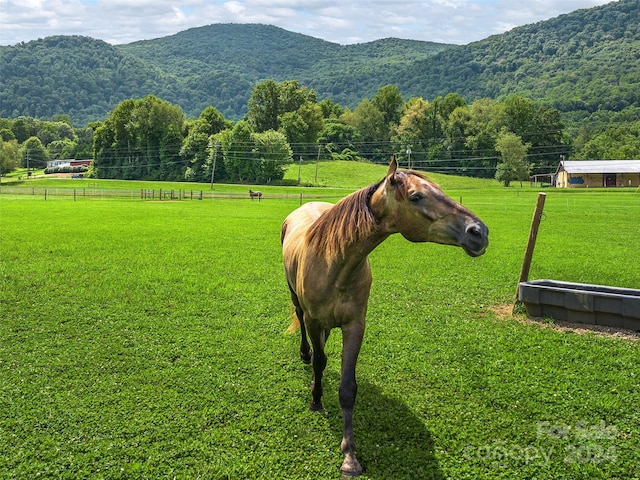 view of home's community featuring a rural view, a mountain view, and a lawn