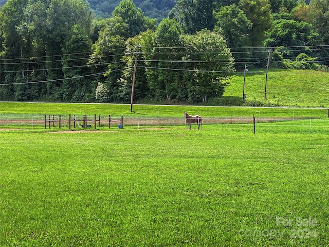 view of home's community with a lawn and a rural view