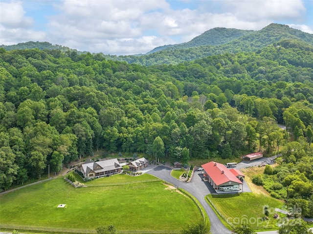 birds eye view of property with a mountain view