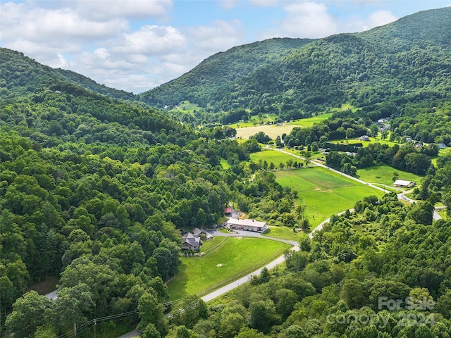 aerial view with a mountain view