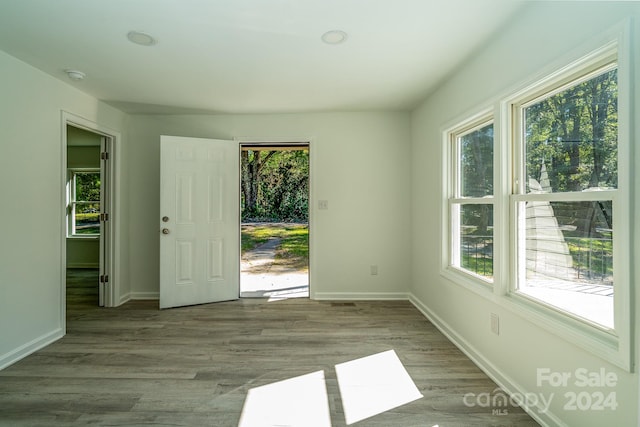 interior space featuring a wealth of natural light and light wood-type flooring