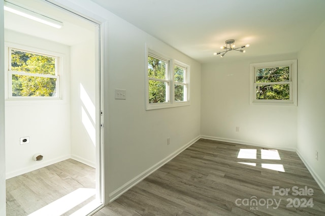 unfurnished room featuring a wealth of natural light and dark wood-type flooring