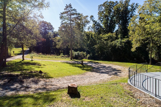 view of community with a lawn