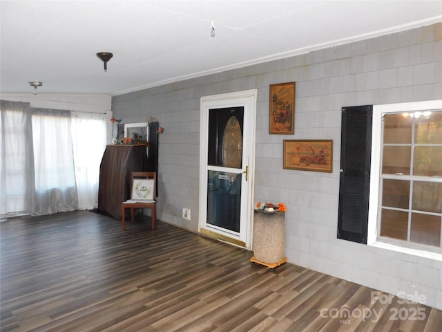 empty room featuring dark wood-type flooring