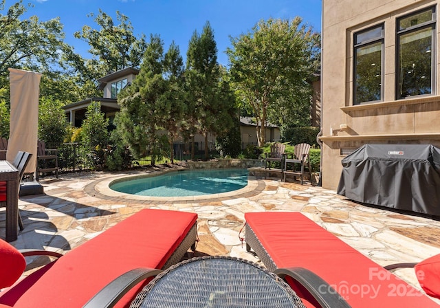 view of pool featuring area for grilling and a patio area