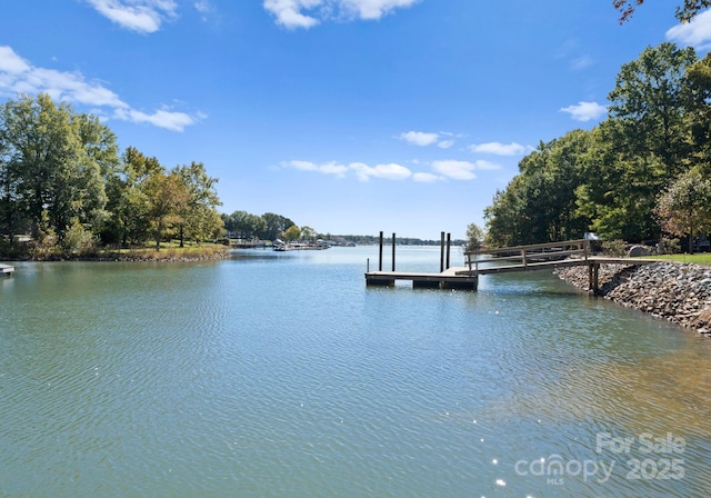 water view featuring a boat dock