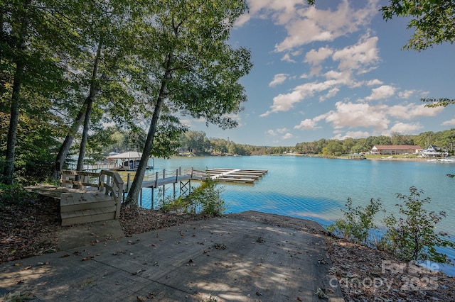 dock area with a water view