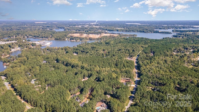 aerial view with a water view and a view of trees