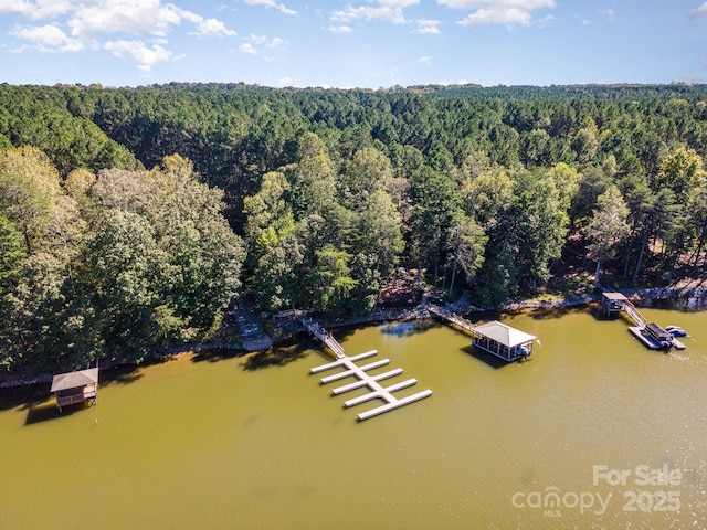 bird's eye view with a forest view and a water view