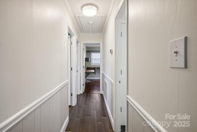 hallway with crown molding and dark hardwood / wood-style floors