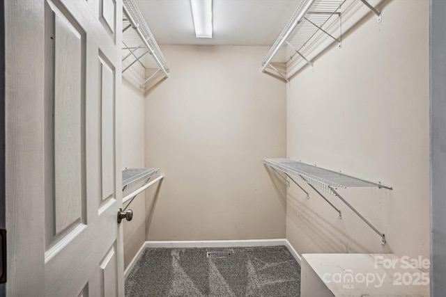 walk in closet featuring carpet flooring