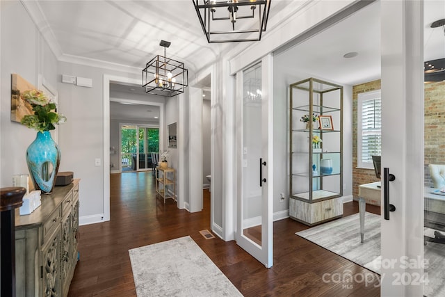 corridor featuring dark wood-type flooring, ornamental molding, and plenty of natural light