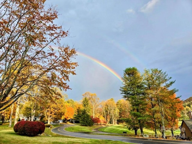 view of property's community with a lawn