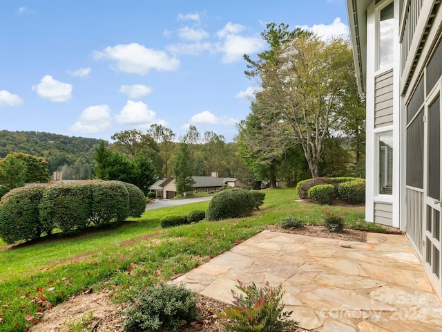 view of yard with a patio area