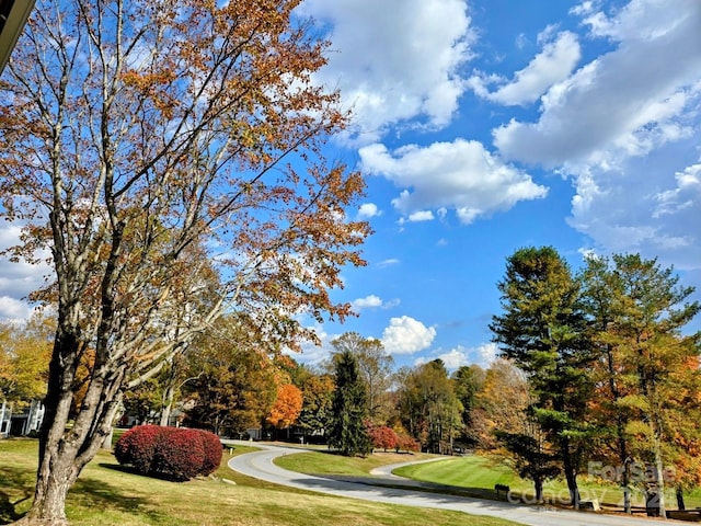 surrounding community featuring a yard