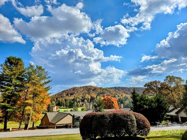 view of mountain feature