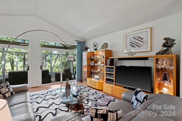 living room with light hardwood / wood-style flooring and lofted ceiling