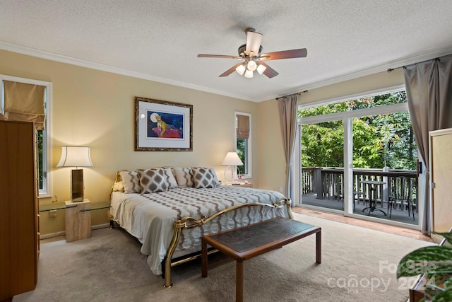 carpeted bedroom with ornamental molding, access to exterior, a textured ceiling, and ceiling fan