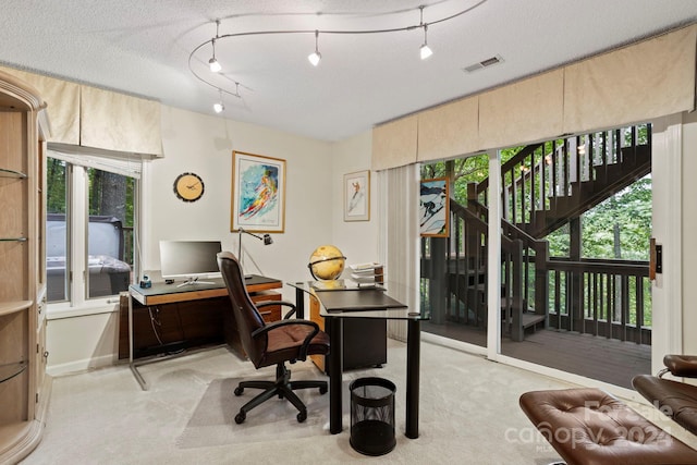 office space featuring a textured ceiling, light colored carpet, and plenty of natural light